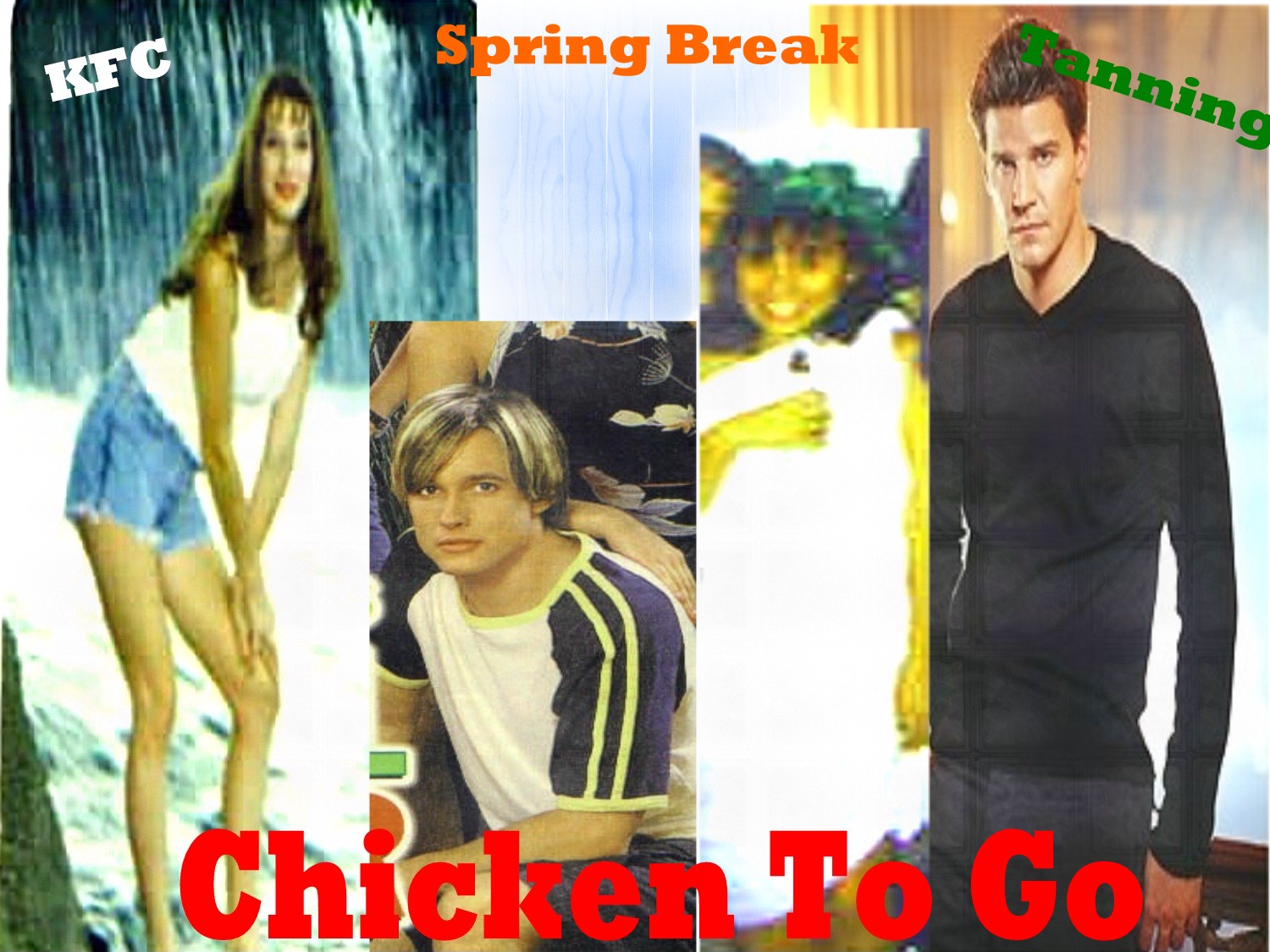 chickentogobannertwo.jpg
